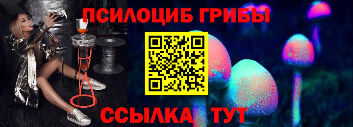 Миасс  Галлюциногенные грибы Magic Shrooms  Вход с VPN  Псилоцибиновые грибы Psilocybine cubensis 