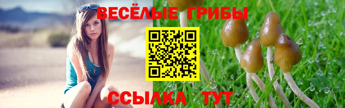 Псилоцибиновые грибы Cubensis Миасс